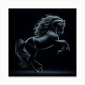 Black Horse On Black Background Canvas Print