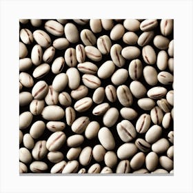 White Coffee Beans Canvas Print