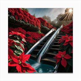 Poinsettia and Path way Canvas Print