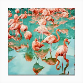 Stockcake Flamingo Reflections Gather 1719803036 Canvas Print