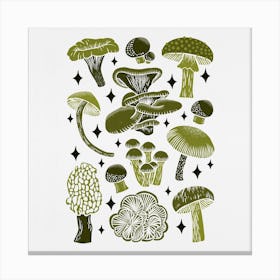 Texas Mushrooms   Olive Green Square Canvas Print