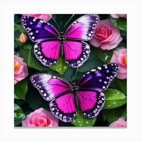 Pink Butterflies On Roses Canvas Print