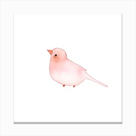 Blushing Bird Rose Square Canvas Print