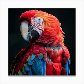 Macaw Parrot 1 Canvas Print