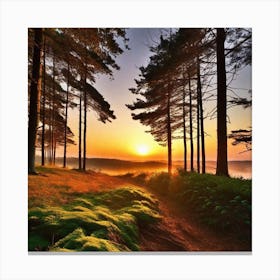 Sunrise In The Forest 21 Canvas Print