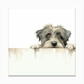 Schnauzer 32 Canvas Print