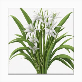 Lily Of The Valley myluckycharm 1 Canvas Print