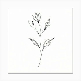 Line Drawing Of A Flower Canvas Print