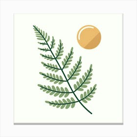 Leafs of Fern, Vector art 3 Canvas Print