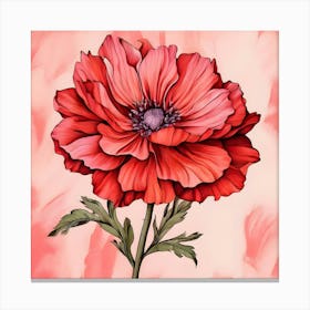 Red Poppy 4 Canvas Print