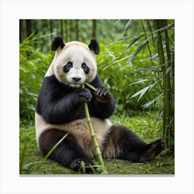 A Panda Sits Contently Eating Bamboo Amidst A Lush Green Forest, Its Black And White Fur Contrasting Beautifully With Nature Canvas Print