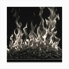Flames In A Fireplace Canvas Print