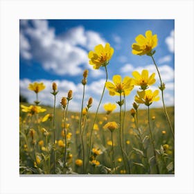 Yellow Flowers In A Field 8 Canvas Print