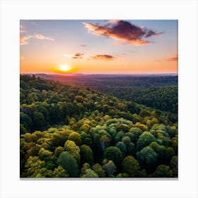 Sunset In The Forest Canvas Print