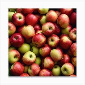 Red Apples 3 Canvas Print