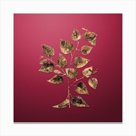 Gold Botanical Paper Birch on Viva Magenta n.1346 Canvas Print
