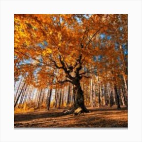 Autumn Tree In The Forest Canvas Print