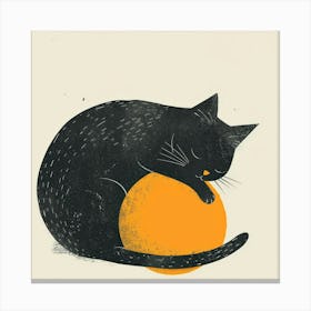 Black Cat With Orange Ball Canvas Print