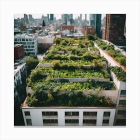 Green Roof In New York City Canvas Print