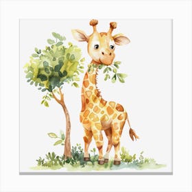 Giraffe Canvas Print