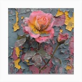 Rose On The Wall Canvas Print