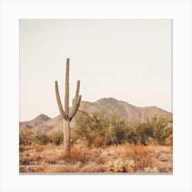 Saguaro Cactus Sunset Square Canvas Print