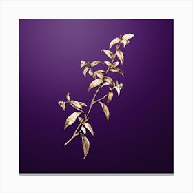 Gold Botanical Birdbill Dayflower on Royal Purple n.2737 Canvas Print