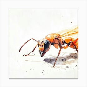 Wasp Watercolor Illustration Canvas Print