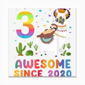 3 Year Old Awesome Since 2020 3rd Birthday Giftn Girls Canvas Print