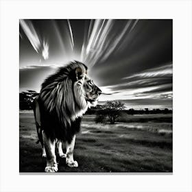 Lionnnn 2 Canvas Print