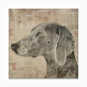 Weimaraner Canvas Print