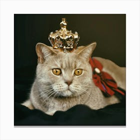 Cat With A Crown Canvas Print