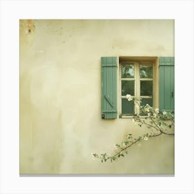 Window In A House Canvas Print