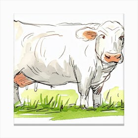 White Cow In The Grass Canvas Print