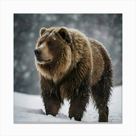 Brown Bear In The Snow Canvas Print