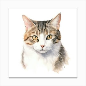 American Wirehair Cat Portrait 2 Canvas Print