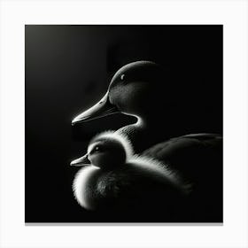 Mother Duck And Duckling Canvas Print
