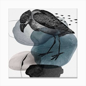 Feathered Friends Bird Black & Navy Square Canvas Print