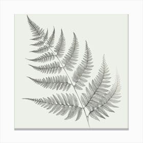 Line Art fern leaves 1 Canvas Print