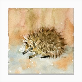 Hedgehog Watercolor Painting Canvas Print