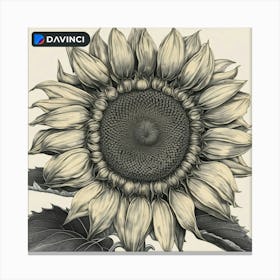 Sunflower 1 Canvas Print