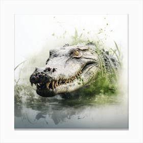 Crocs art Canvas Print