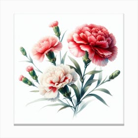 Flowers of Carnation 3 Canvas Print