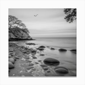 Rocky Shore Canvas Print