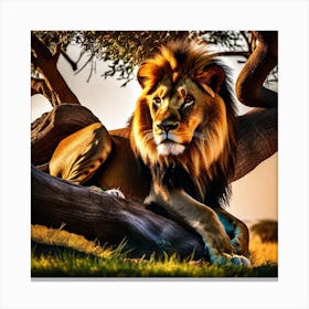 Lion In The Tree 14 Canvas Print