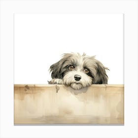 Shih Tzu Dog Canvas Print