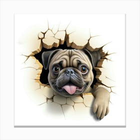 Pug Peeking Through A Hole 3 Canvas Print