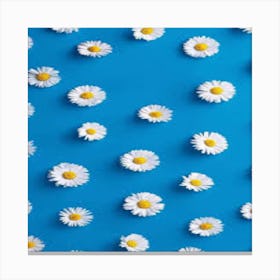 Daisies On Blue Background Canvas Print