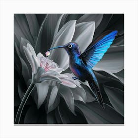 Hummingbird Canvas Print