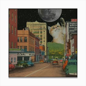 Cat In The Moonlight. Canvas Print